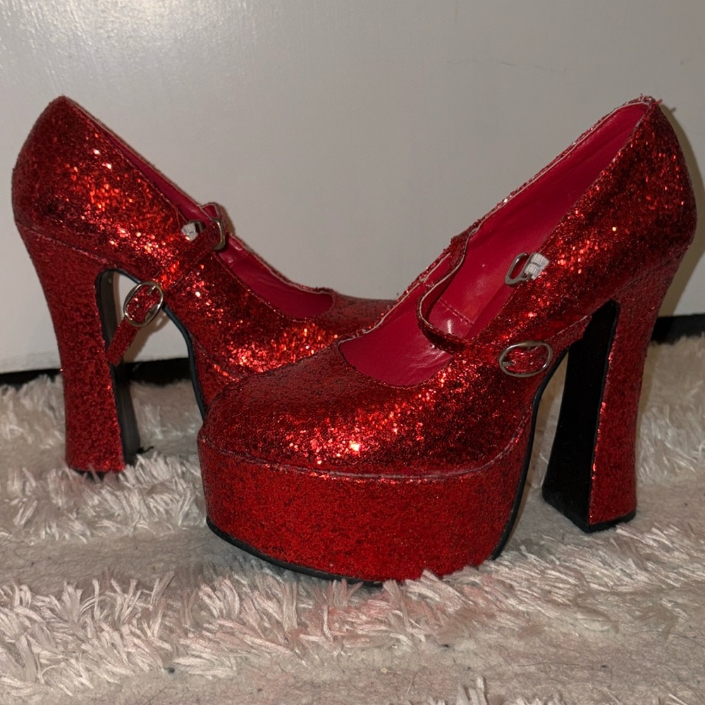 Dorothy costume shoes size M